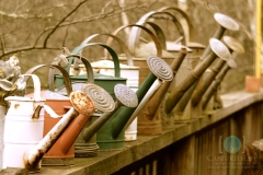 Watering Cans