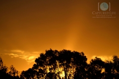 sunset-watermarked