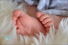 Baby Feet