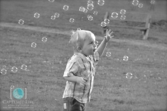 Bubbles in the park